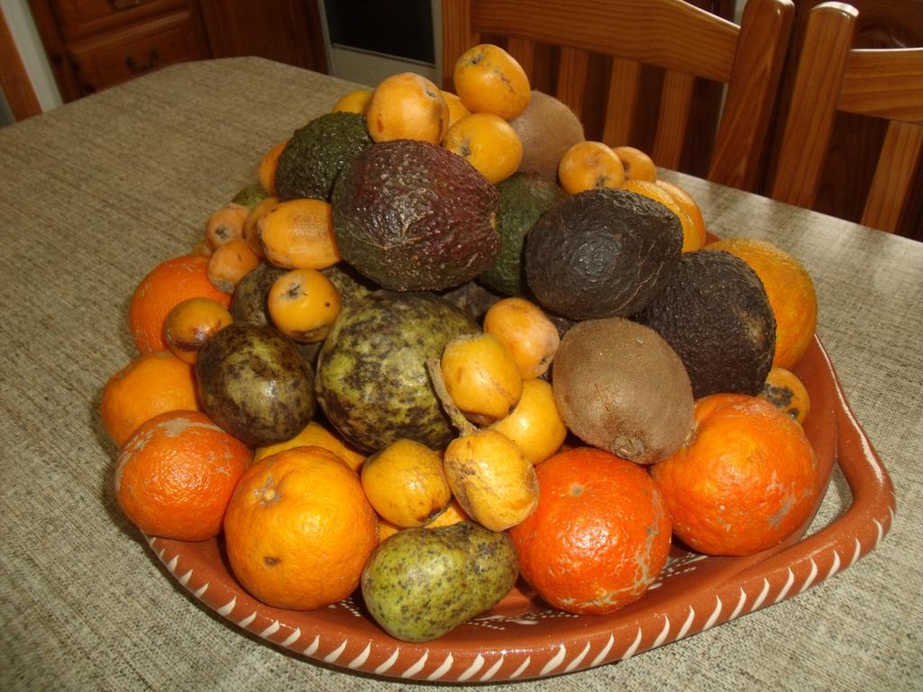 Tropical Fruit Garden Hotel Velas Exterior photo